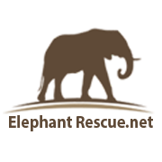 elephant-rescue-net-social-media-logo